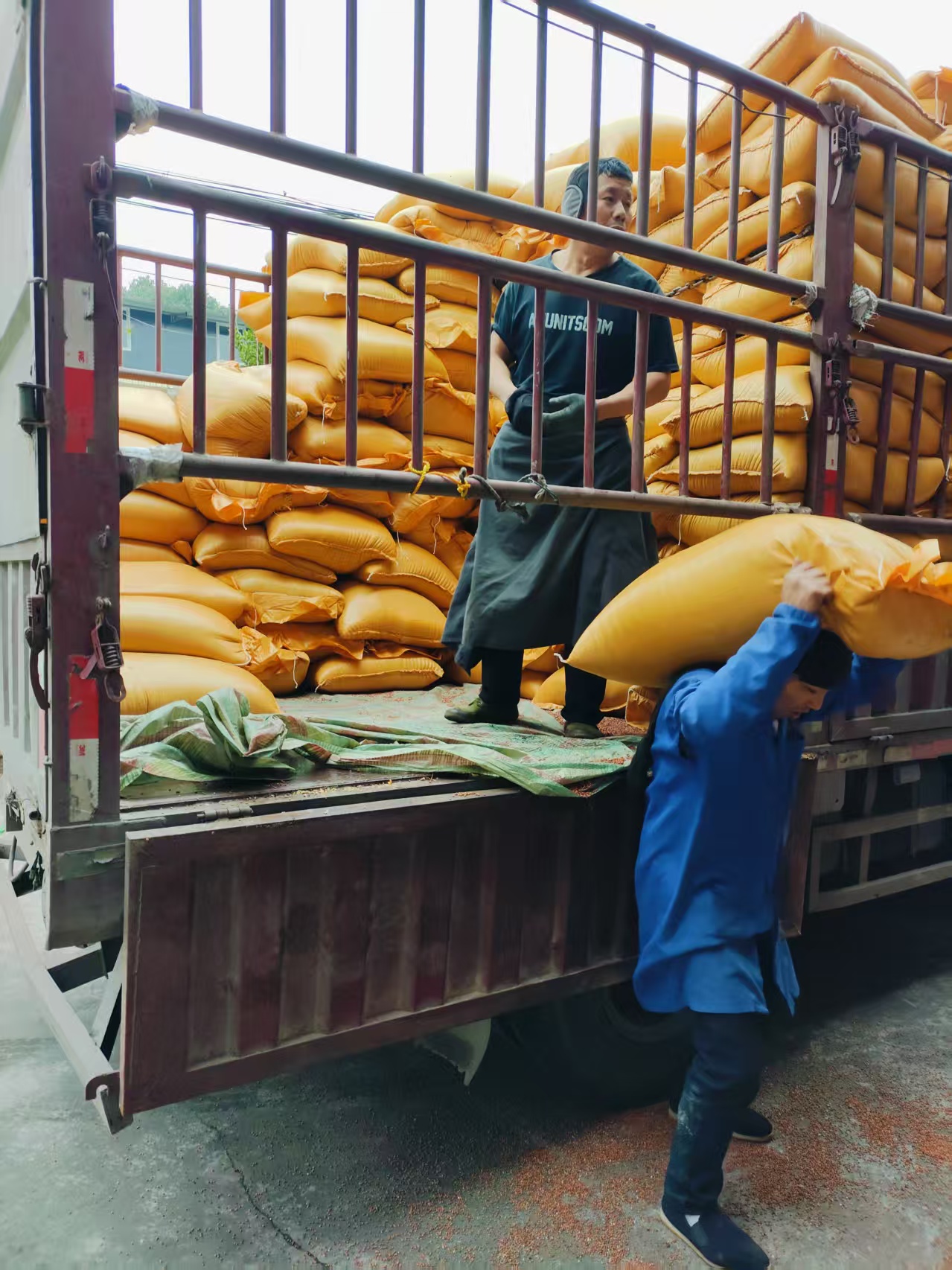 问道酒坊展示图3